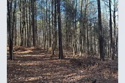 125 Patriot View Dr., Dahlonega, GA 30533 - Photo 8