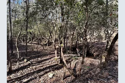 125 Patriot View Dr., Dahlonega, GA 30533 - Photo 4