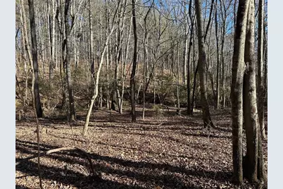 125 Patriot View Dr., Dahlonega, GA 30533 - Photo 2