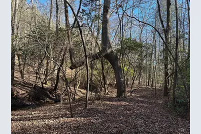 125 Patriot View Dr., Dahlonega, GA 30533 - Photo 6