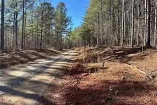 1107 Larmon Forks Rd, Dahlonega, GA 30533 - Photo 1