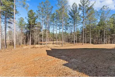 1374 Morgan Road, Bremen, GA 30110 - Photo 48