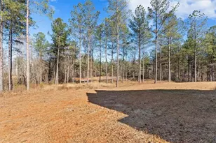 1374 Morgan Rd, Bremen, GA 30110 - Photo 48