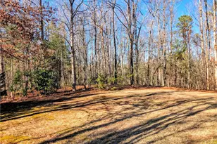 363 Goose Creek Ln, Clarkesville, GA 30523 - Photo 4