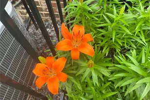 3985 Duke Reserve Cir, Peachtree Corners, GA 30092 - Photo 62