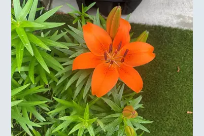 3985 Duke Reserve Circle, Peachtree Corners, GA 30092 - Photo 58