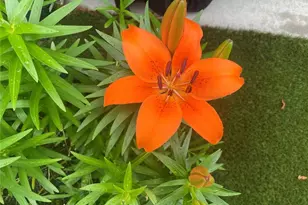 3985 Duke Reserve Cir, Peachtree Corners, GA 30092 - Photo 58