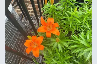 3985 Duke Reserve Circle, Peachtree Corners, GA 30092 - Photo 48