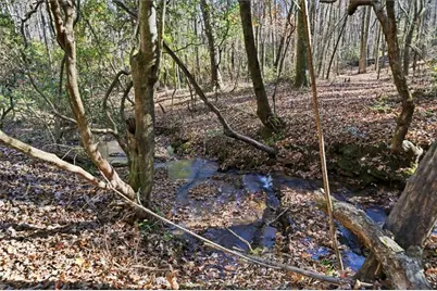 120 Twisted Pines Crossing, Dahlonega, GA 30533 - Photo 48