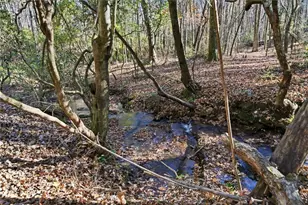 120 Twisted Pnes Xing, Dahlonega, GA 30533 - Photo 48