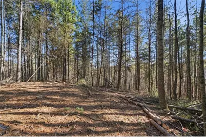 120 Twisted Pines Crossing, Dahlonega, GA 30533 - Photo 58