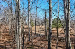 731 Brewer Rd, Lula, GA 30554 - Photo 124