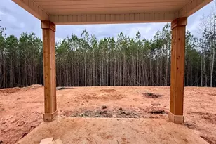 466 Mt Zion Church Rd, Tallapoosa, GA 30176 - Photo 14