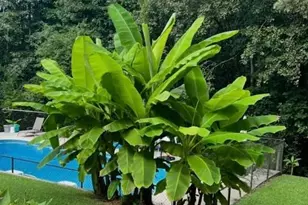 1075 Johnson Brady Rd, Canton, GA 30115 - Photo 10