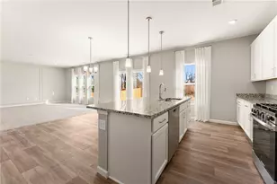 329 Traminer Wy, Braselton, GA 30517 - Photo 16