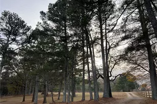 1745 Mineral Springs Rd, Hoschton, GA 30548 - Photo 30