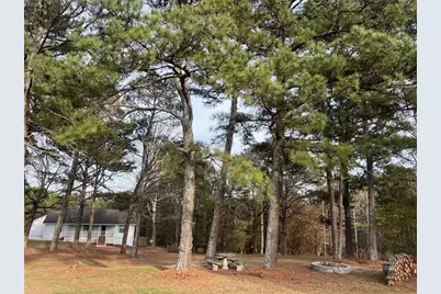 1745 Mineral Springs Road, Hoschton, GA 30548 - Photo 4