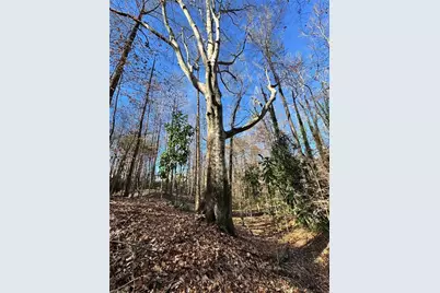 Lot 4 Miller Street, Lithia Springs, GA 30122 - Photo 34