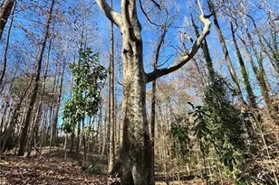 Lot 4 Miller St, Lithia Springs, GA 30122 - Photo 34