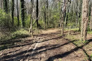 Lot 4 Miller St, Lithia Springs, GA 30122 - Photo 6