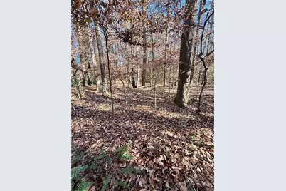 Lot 4 Miller Street, Lithia Springs, GA 30122 - Photo 28