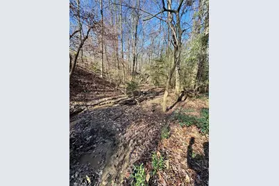 Lot 4 Miller Street, Lithia Springs, GA 30122 - Photo 16