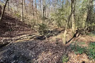 Lot 4 Miller St, Lithia Springs, GA 30122 - Photo 16