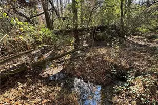 0 Miller St, Lithia Springs, GA 30122 - Photo 4