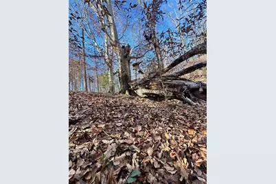 Lot 4 Miller Street, Lithia Springs, GA 30122 - Photo 30