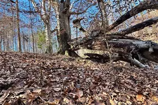 Lot 4 Miller St, Lithia Springs, GA 30122 - Photo 30