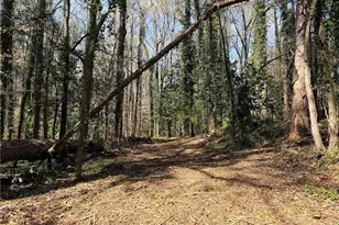 Lot 4 Miller St, Lithia Springs, GA 30122 - Photo 8