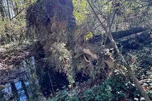 0 Miller St, Lithia Springs, GA 30122 - Photo 8