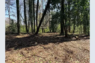 Lot 4 Miller Street, Lithia Springs, GA 30122 - Photo 12