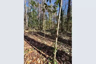Lot 4 Miller Street, Lithia Springs, GA 30122 - Photo 24