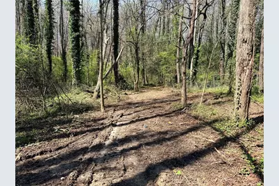 Lot 4 Miller Street, Lithia Springs, GA 30122 - Photo 4