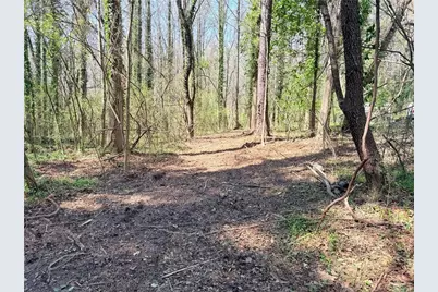 Lot 4 Miller Street, Lithia Springs, GA 30122 - Photo 6