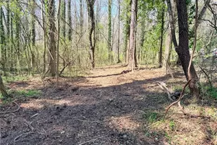 Lot 4 Miller St, Lithia Springs, GA 30122 - Photo 6