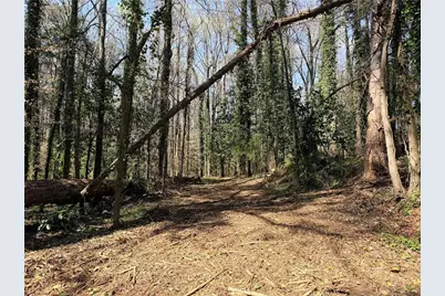 Lot 4 Miller Street, Lithia Springs, GA 30122 - Photo 10