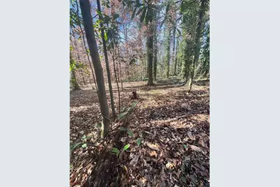 0 Miller Street, Lithia Springs, GA 30122 - Photo 28