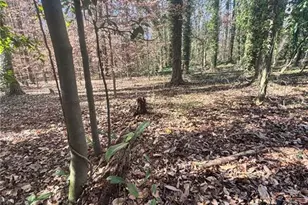 0 Miller St, Lithia Springs, GA 30122 - Photo 28