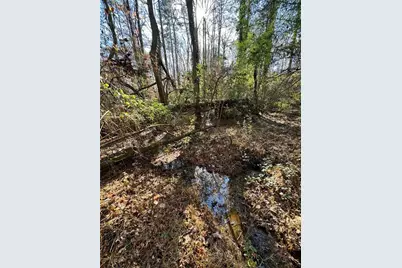 Lot 4 Miller Street, Lithia Springs, GA 30122 - Photo 12