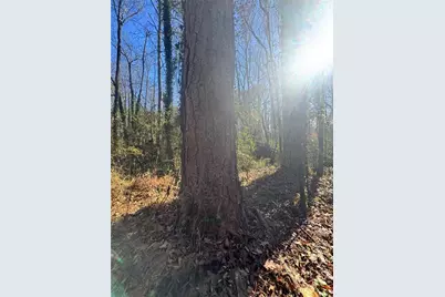 Lot 4 Miller Street, Lithia Springs, GA 30122 - Photo 34