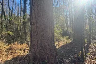 Lot 4 Miller St, Lithia Springs, GA 30122 - Photo 34