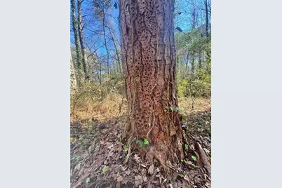 Lot 4 Miller Street, Lithia Springs, GA 30122 - Photo 40