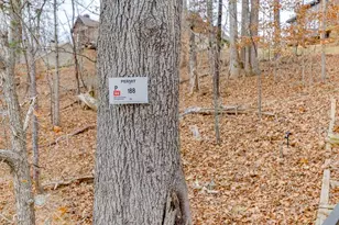 4008 Donna Dr, Gainesville, GA 30506 - Photo 56