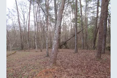 61 Berry Patch Lane, Cleveland, GA 30528 - Photo 2