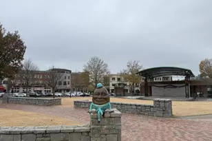 3659 Chicago St, Suwanee, GA 30024 - Photo 38