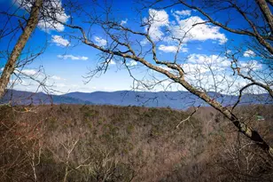 9323 Hwy 52, Chatsworth, GA 30705 - Photo 94