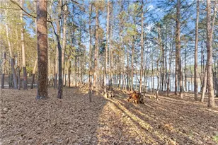 287 Spring Branch Cir, Toccoa, GA 30577 - Photo 46