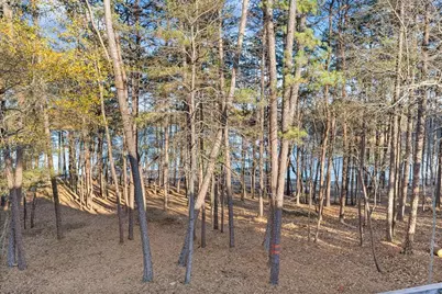 287 Spring Branch Circle, Toccoa, GA 30577 - Photo 50